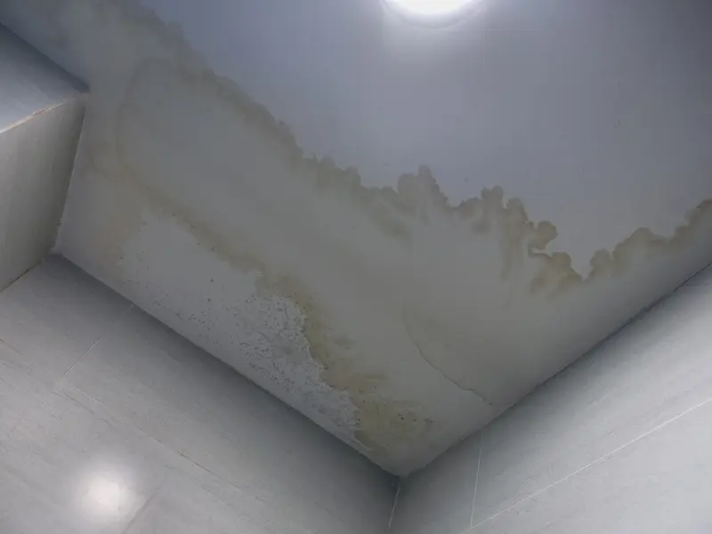 Mold prevention after water damage Concord CA